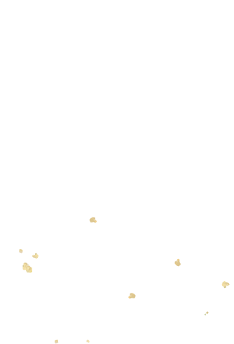 装飾