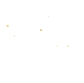 装飾